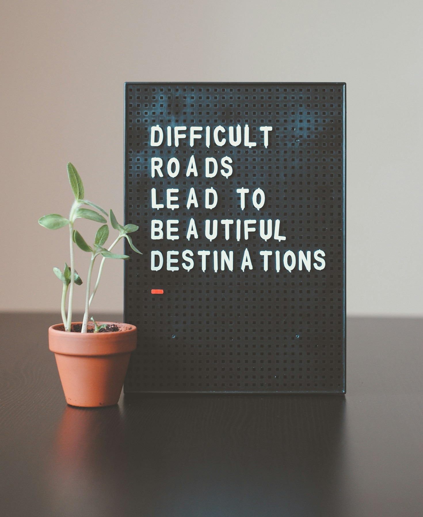 Creating Positive Impact Through Servant Leadership
